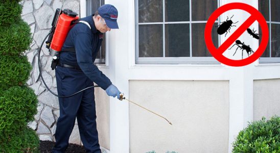 Sason Gümüşkurt İlaçlama böcek ilaçlama ve haşere kontrolü — ilaclama-tr.com